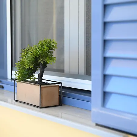 Julie's Seaview דירה